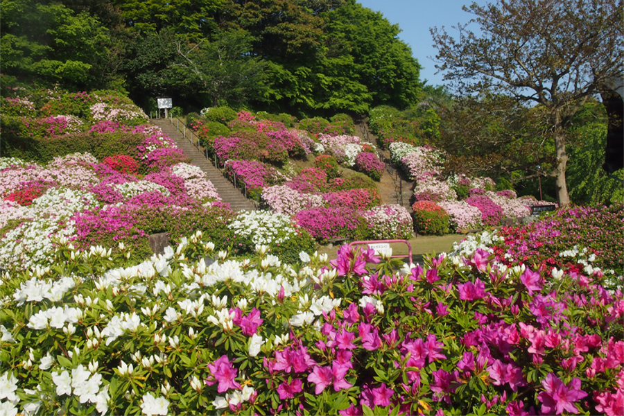 斐川公園