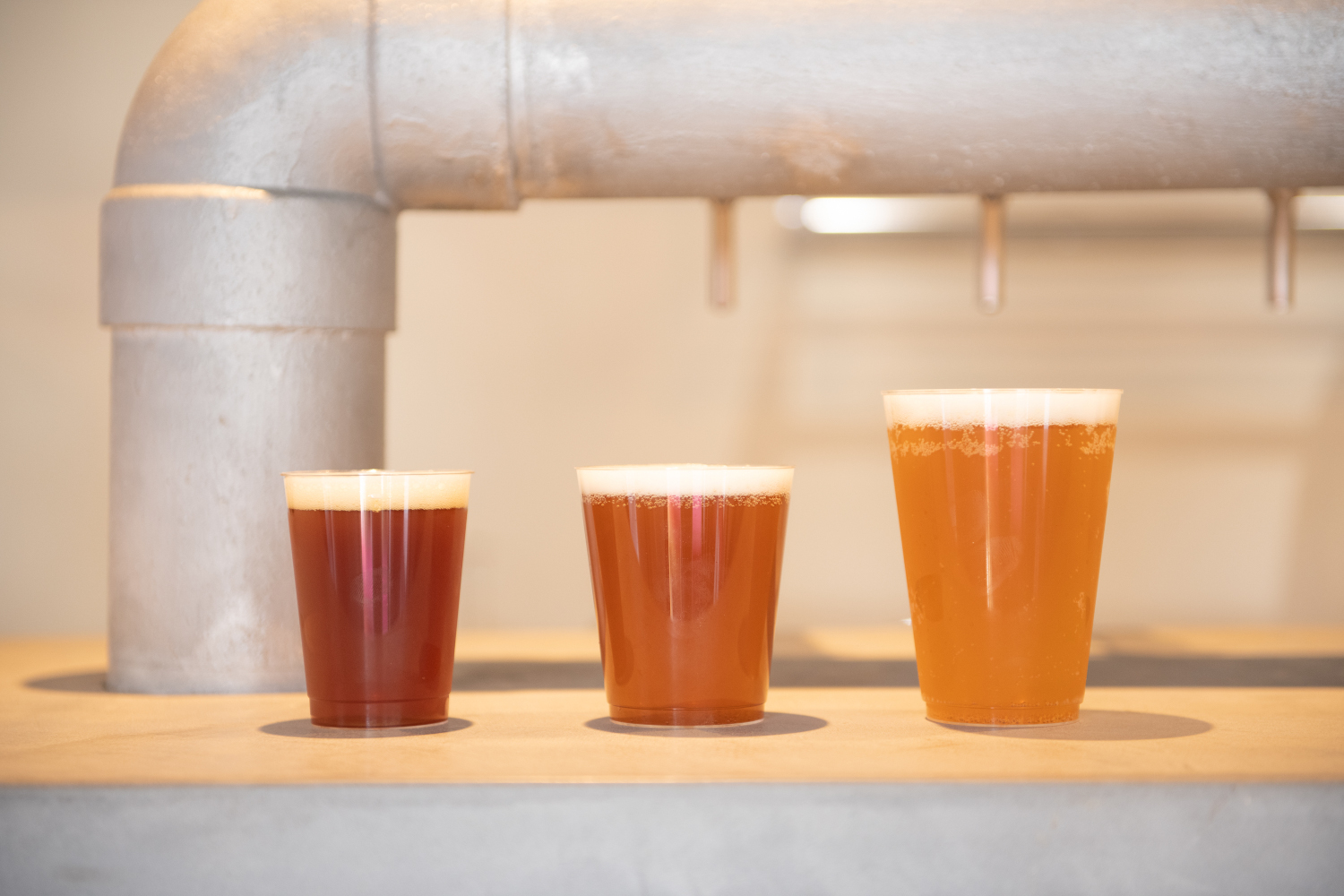 Izumo Brewing Co. TAISHA