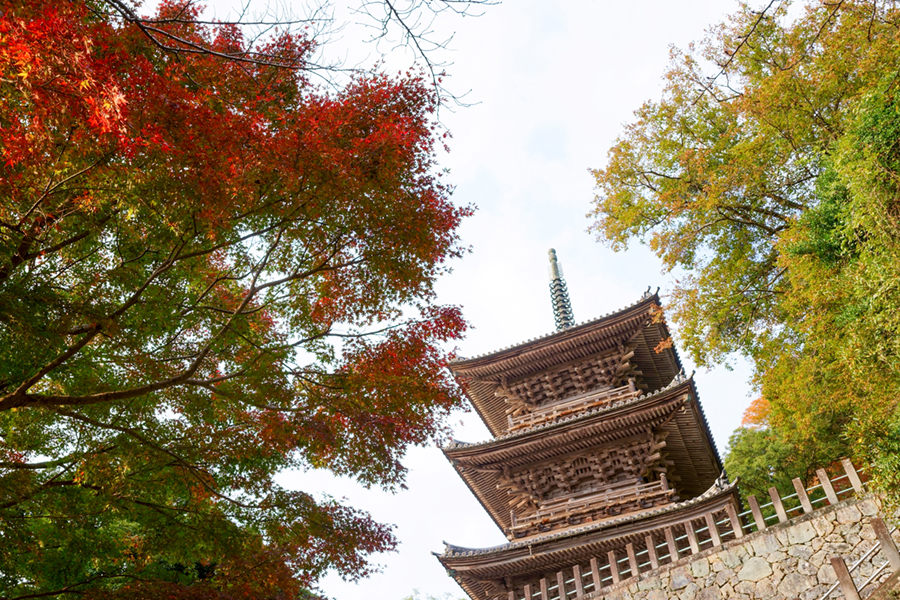 清水寺