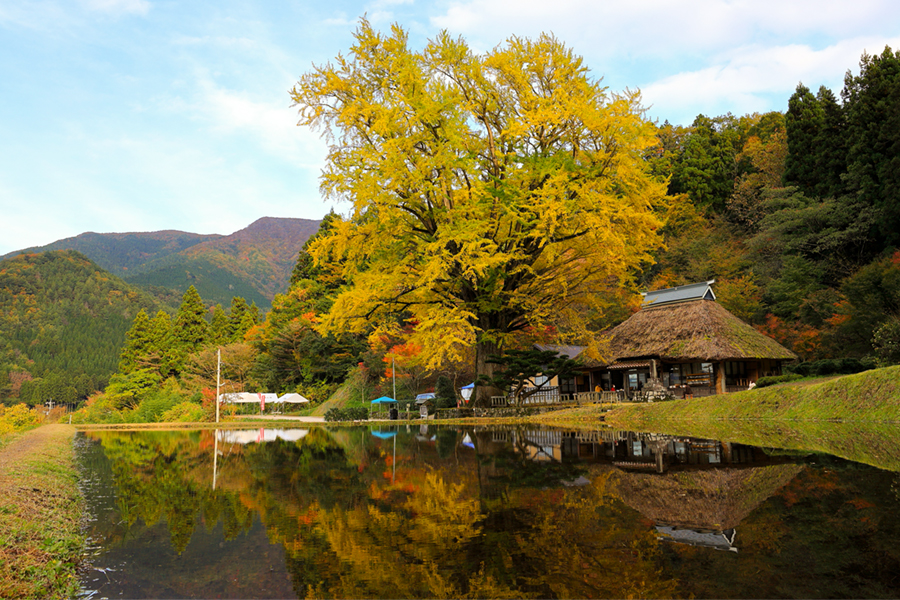 金言寺