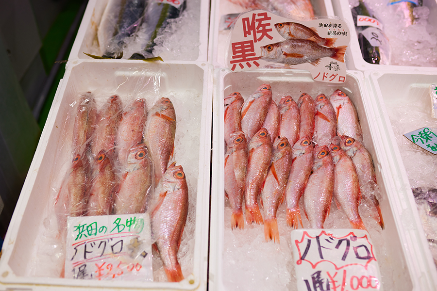 はまだお魚市場