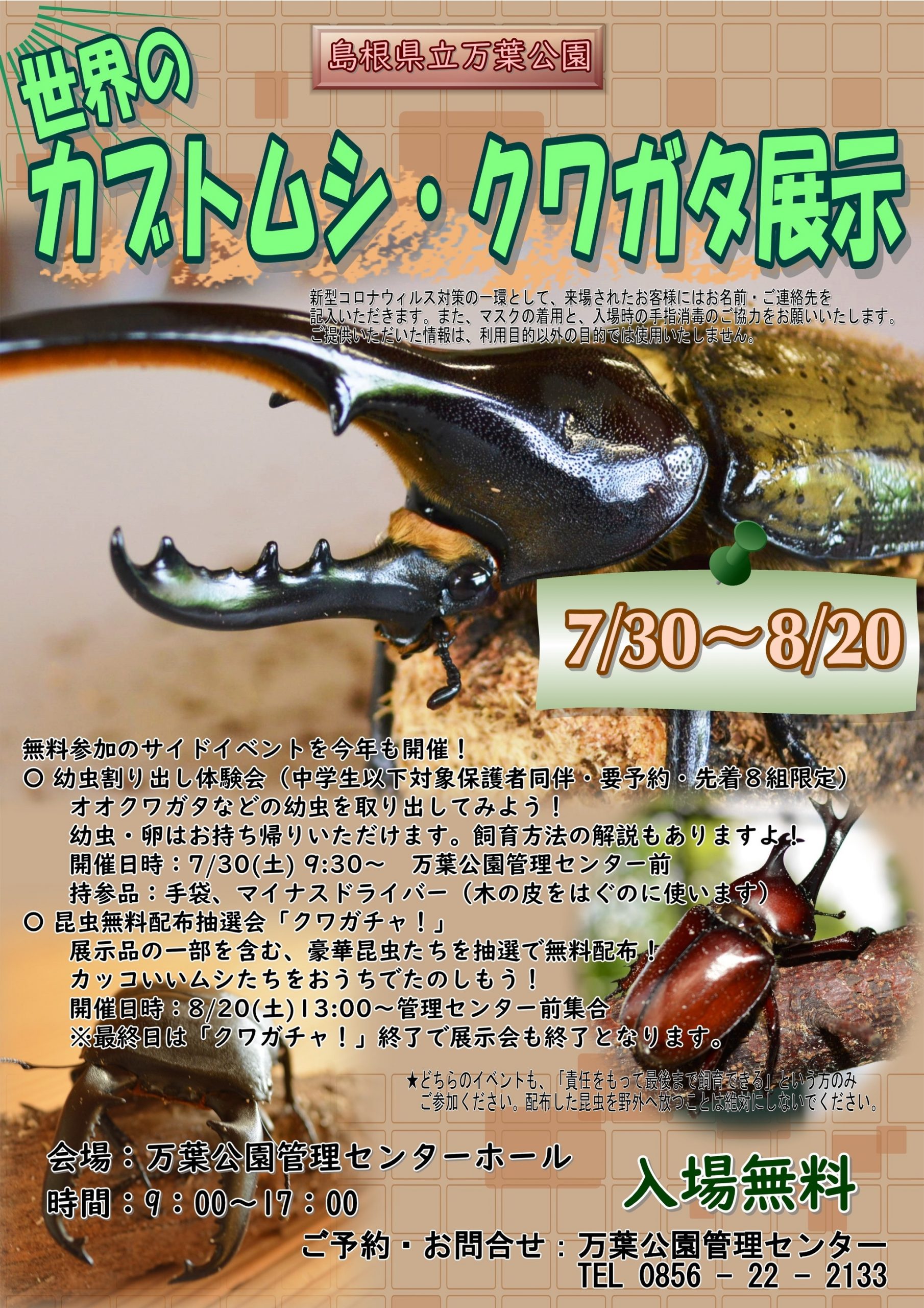 島根県立万葉公園 世界のカブトムシ クワガタ展示 しまね観光ナビ 島根県公式観光情報サイト