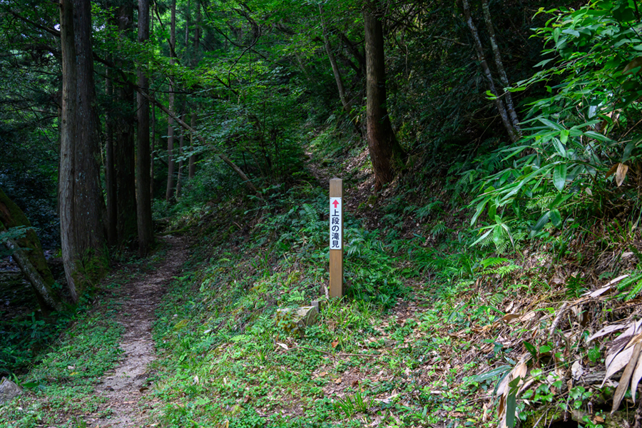 赤馬滝　上段の滝見