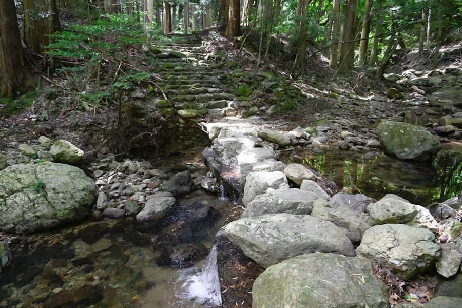 浮浪の滝　山道