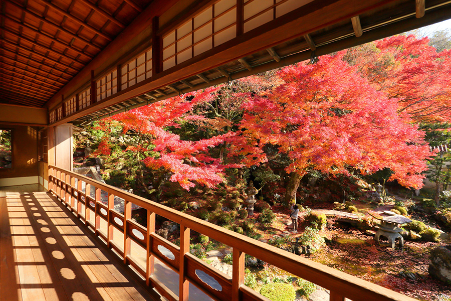 堀庭園の紅葉