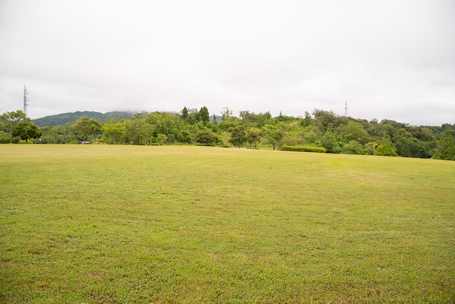 菰沢公園