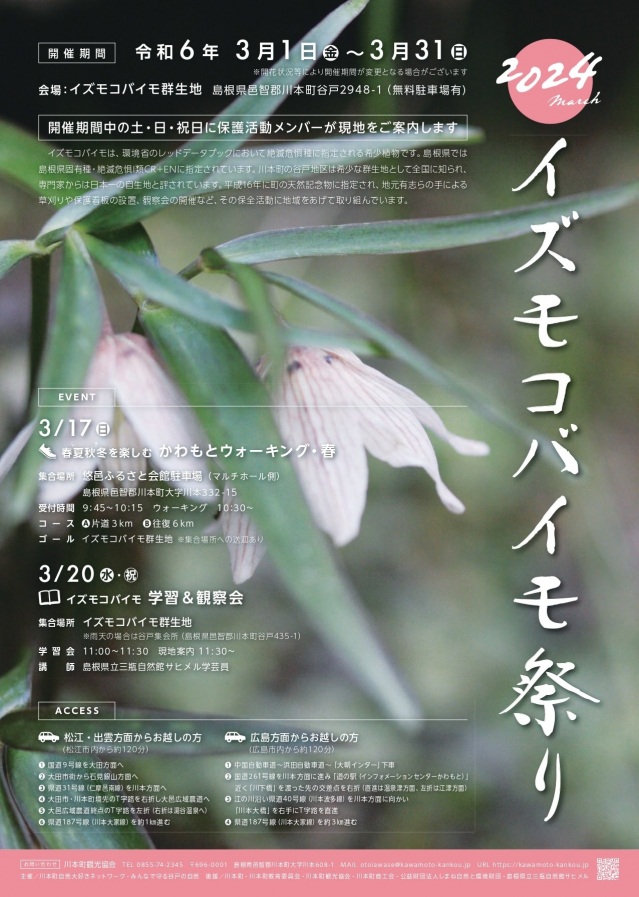 春の妖精 イズモコバイモ祭り2024　※3月土日祝開催（川本町）