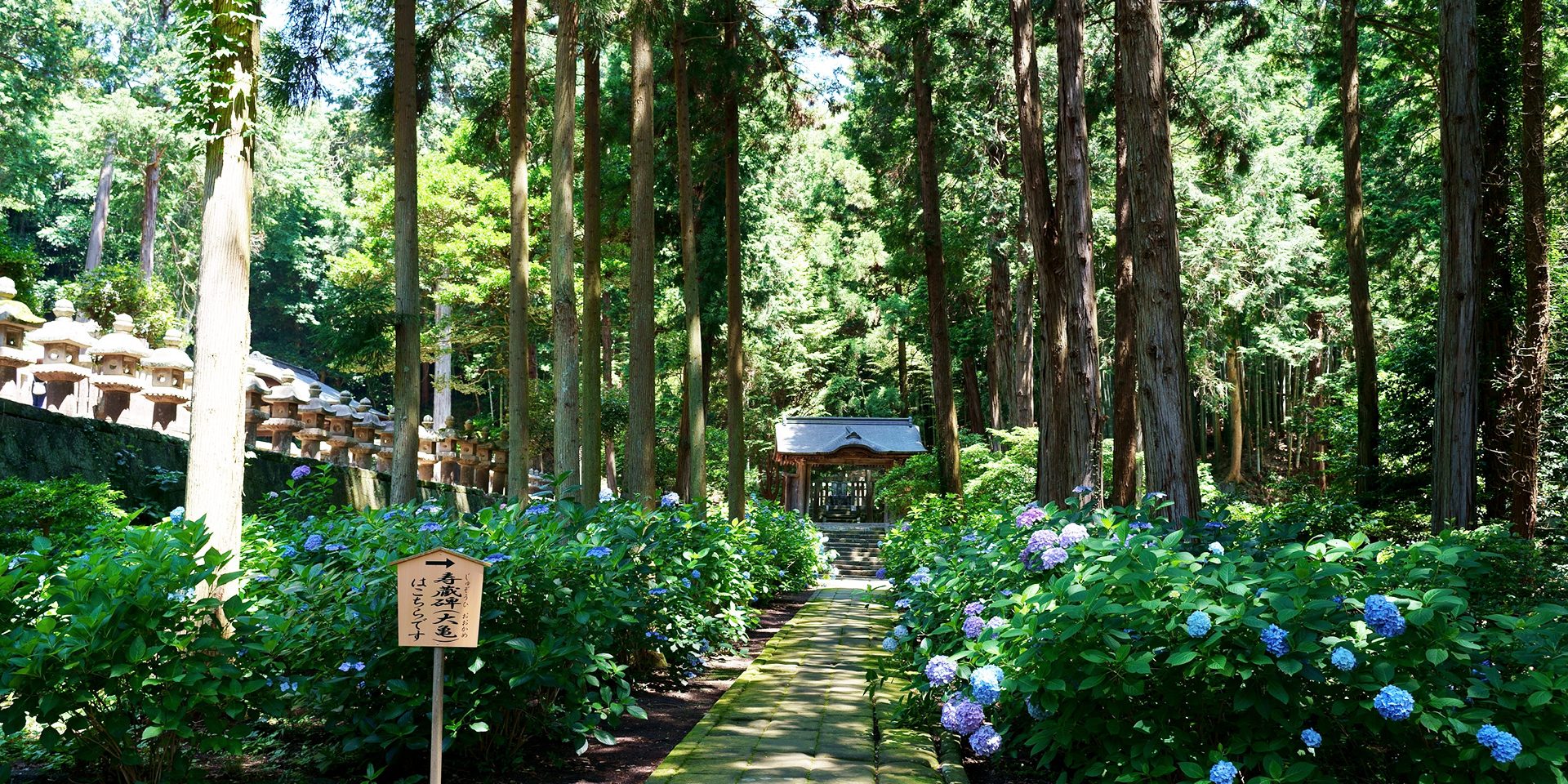 月照寺