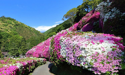 三隅公園
