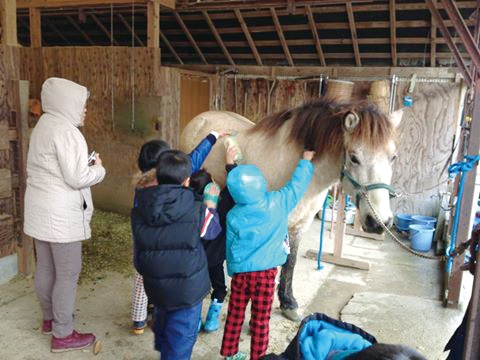 馬との出会い体験プログラム