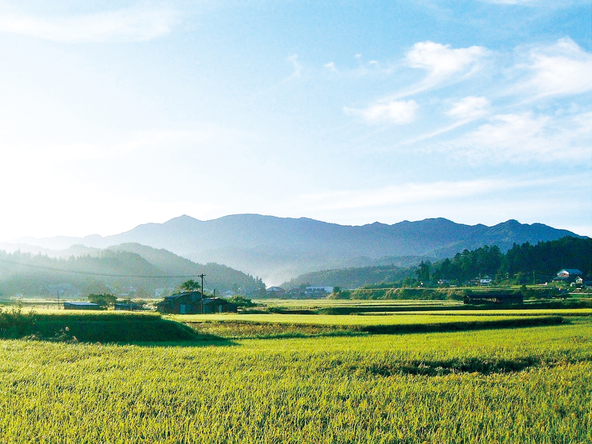 船通山登山