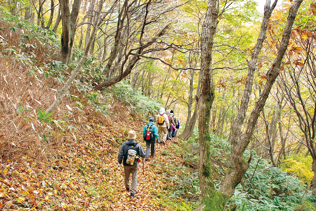 三瓶山登山