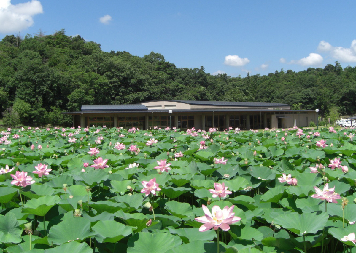 荒神谷遺跡・博物館