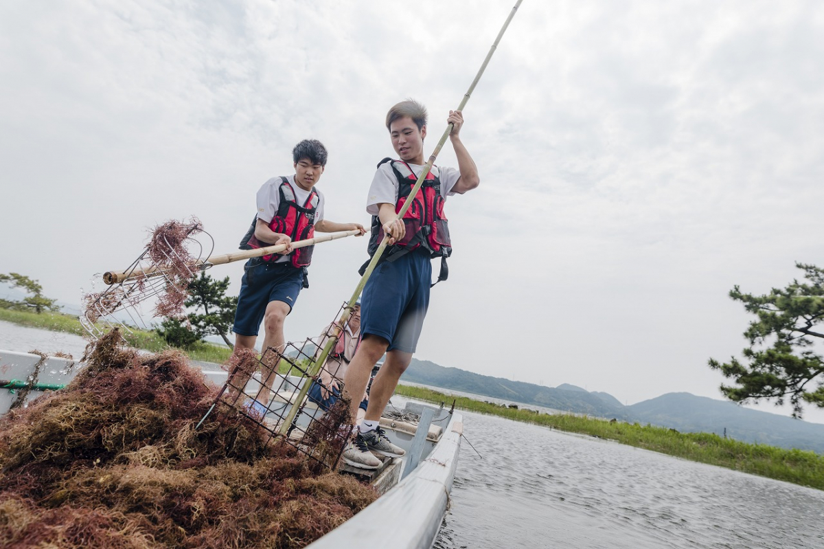 伝統的方法で“オゴノリ”刈り取り体験  〜中海でSDGｓを体感しよう！〜