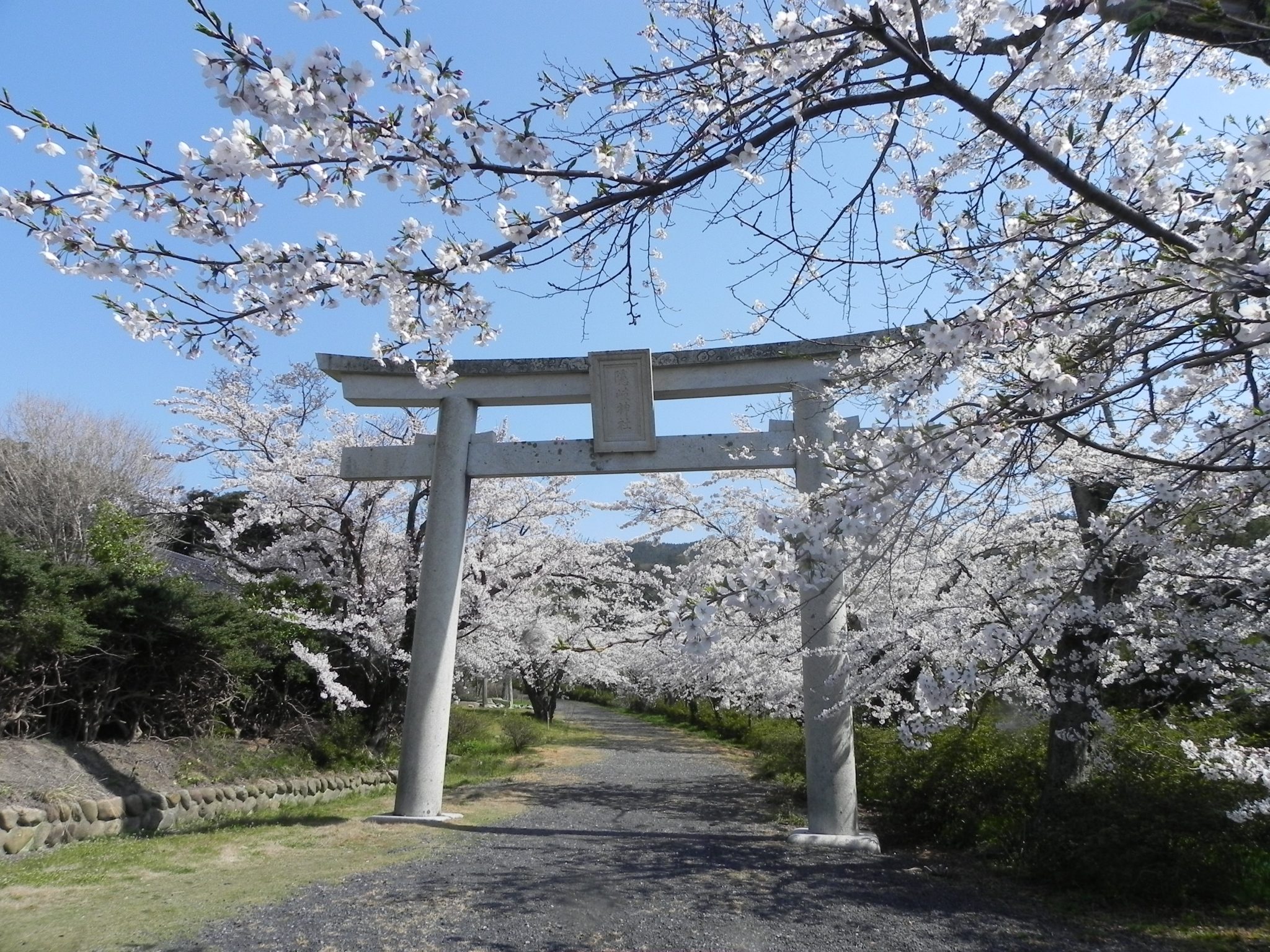 隠岐神社