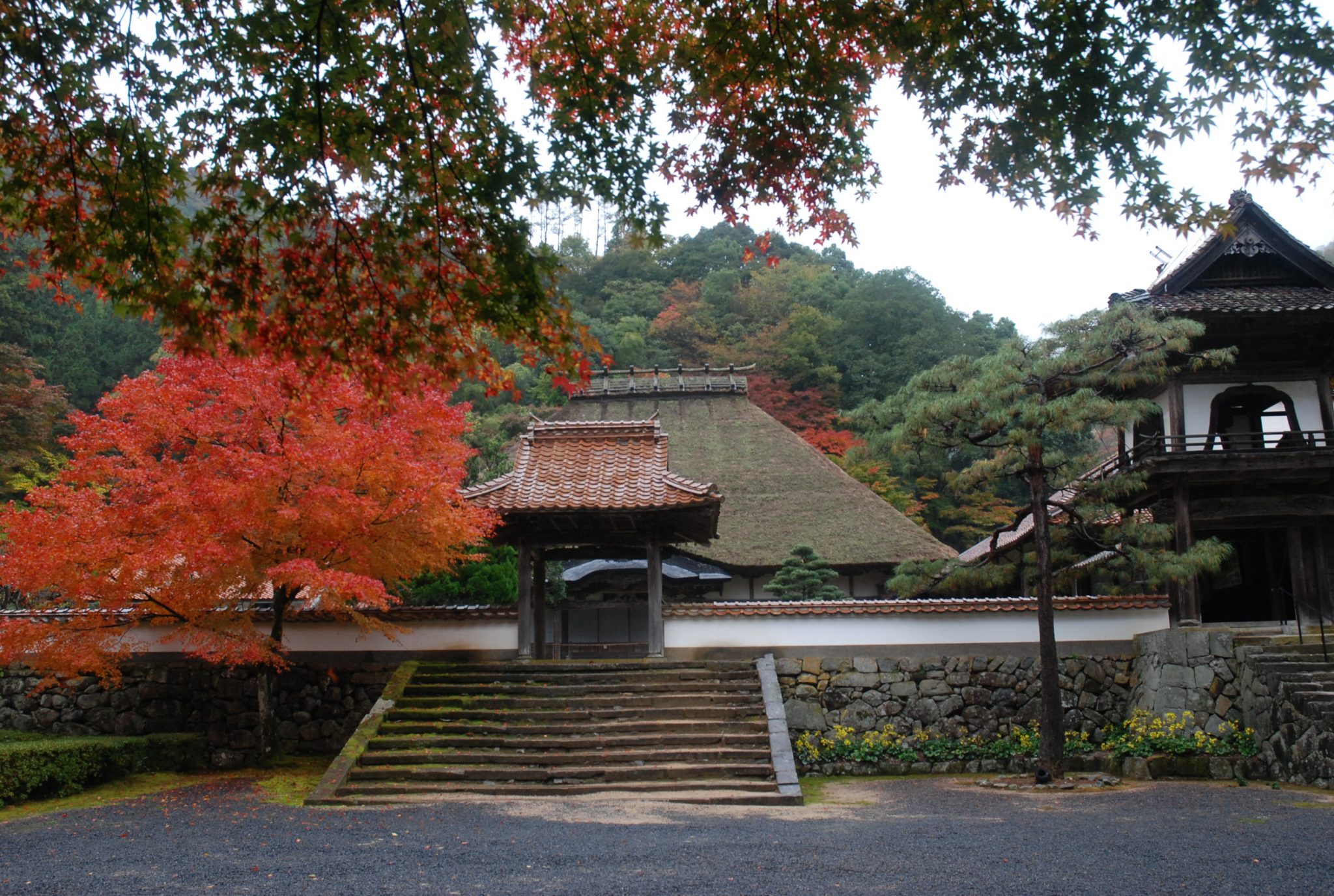 津和野騒動