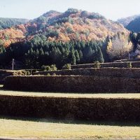 都川の棚田