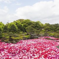 日本庭園　由志園