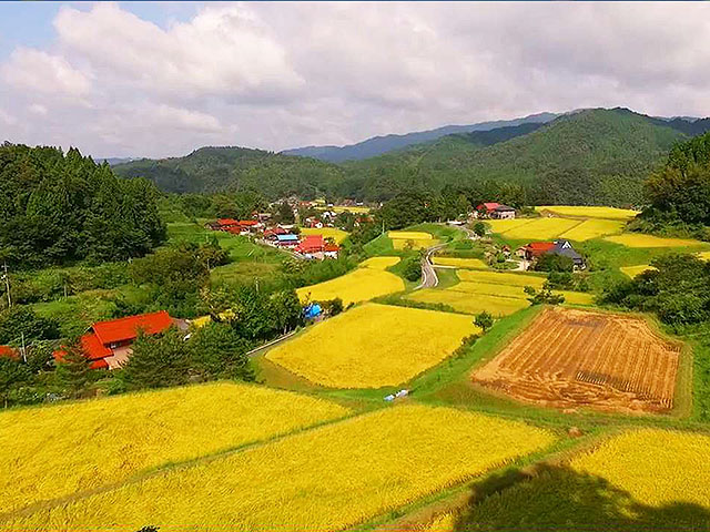 遠く へ 行き たい