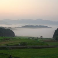 山王寺棚田