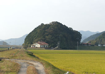 草枕