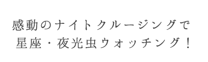 ロマンティックなナイトクルージングで星座や夜光虫ウォッチング