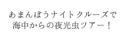 あまんぼうナイトクルージングで夜光虫ツアー！