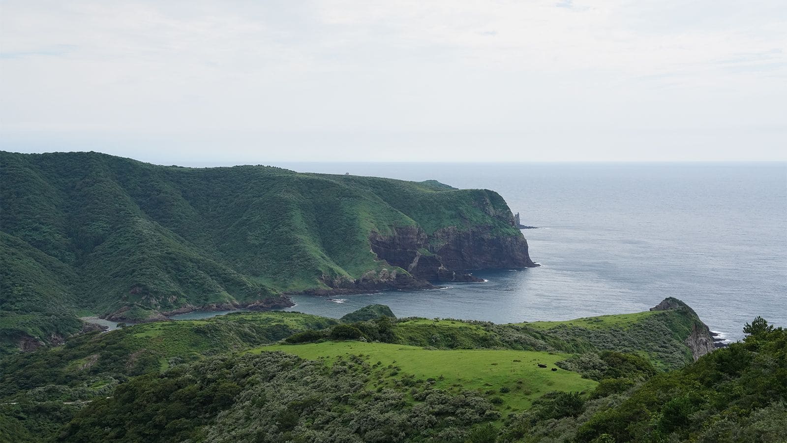 西ノ島町（西ノ島）