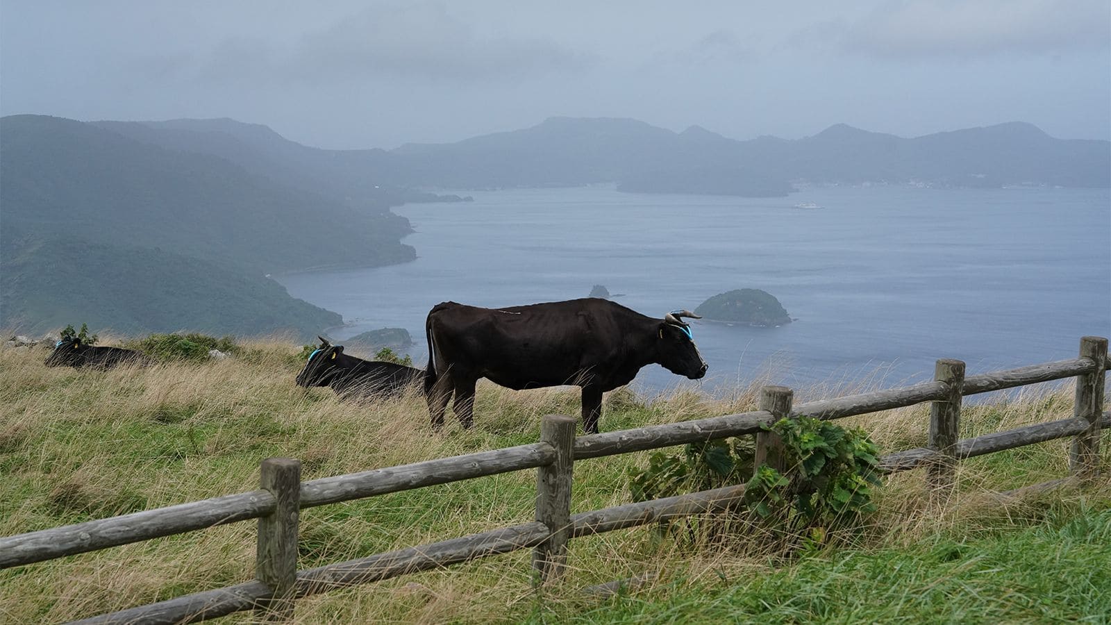 知夫村（知夫里島）