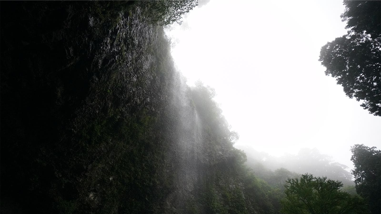 隠岐の島町