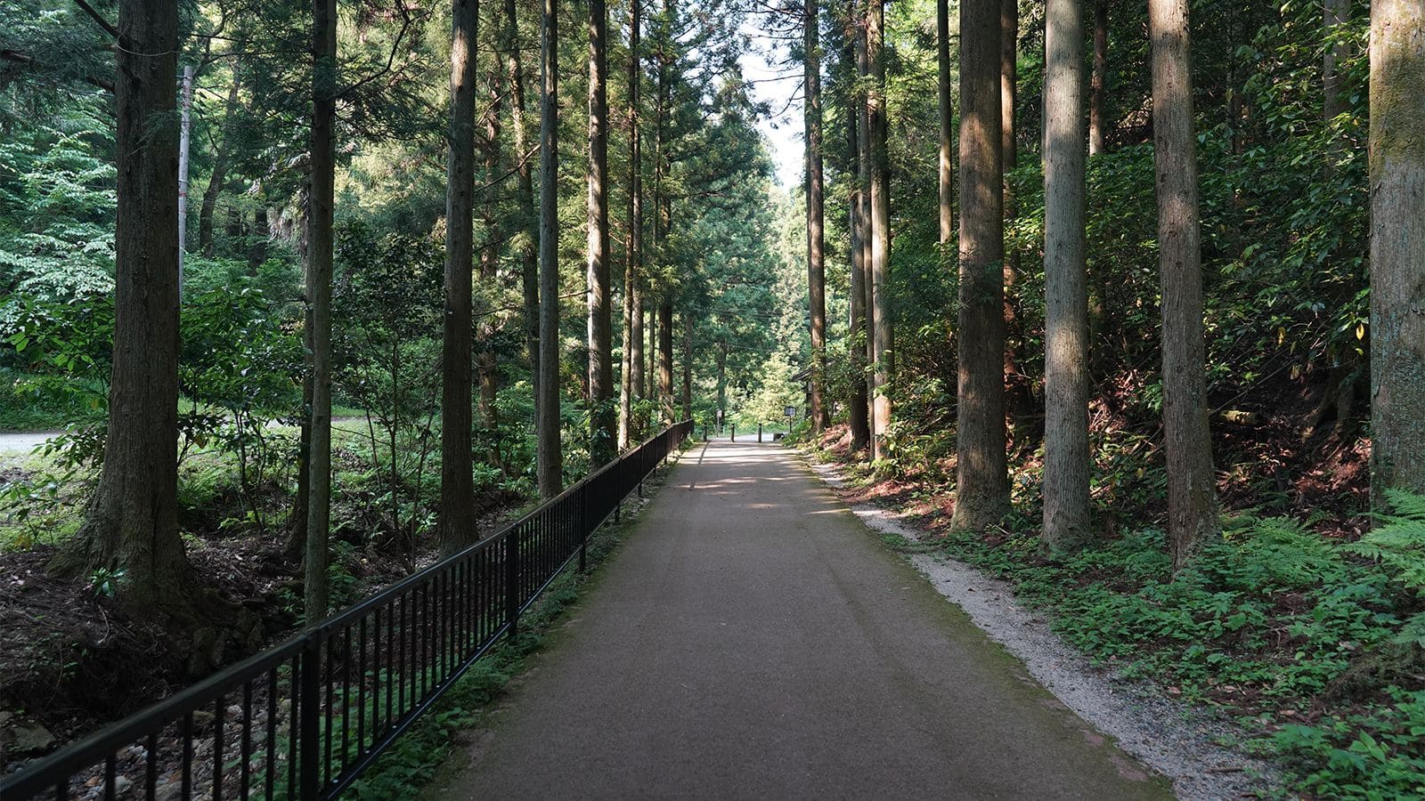 石見銀山　龍源寺間歩