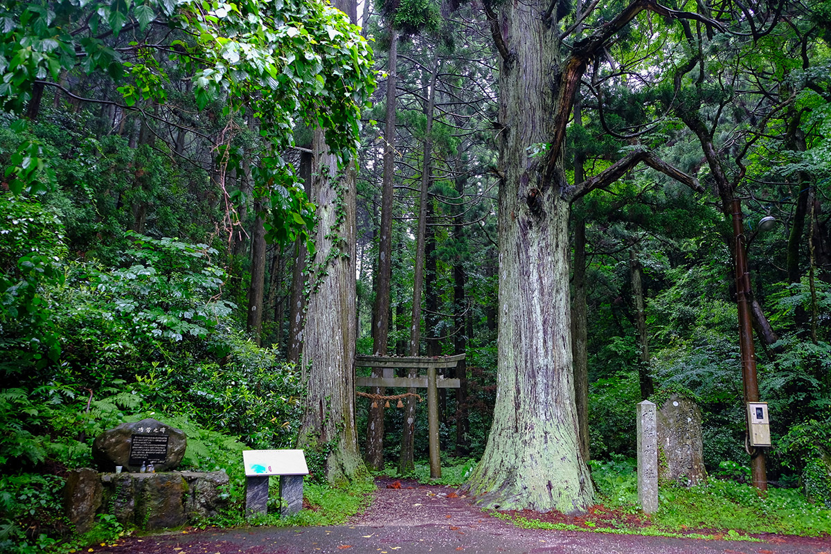 隠岐諸島