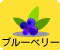 ブルーベリー