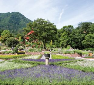 香木の森公園