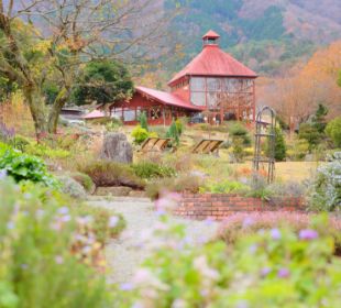 香木の森公園