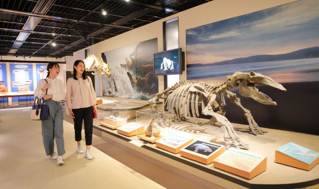 島根県立三瓶自然館サヒメル