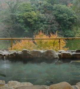 立久恵峡温泉