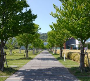 島根県立古代出雲歴史博物館