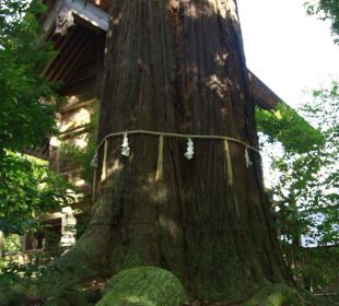 須佐神社