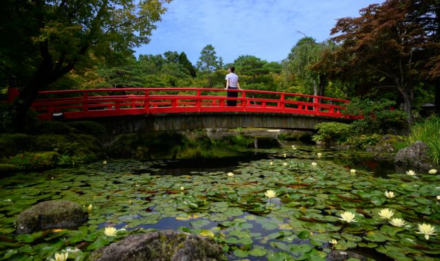 由志園