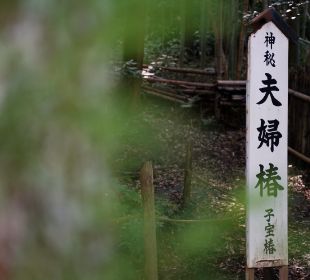 八重垣神社