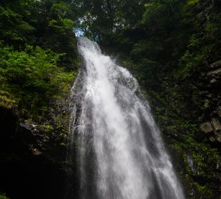 龍頭が滝