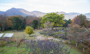 香木の森公園 園内