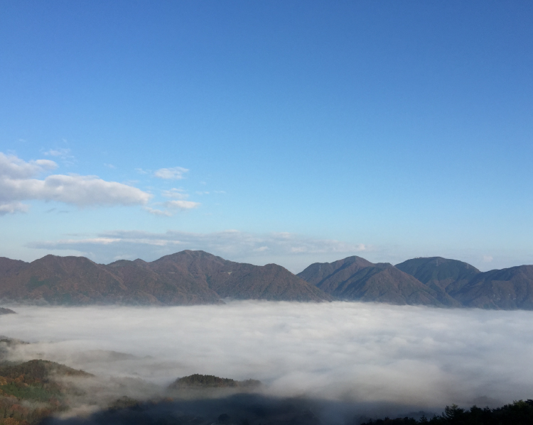 於保知盆地 雲海